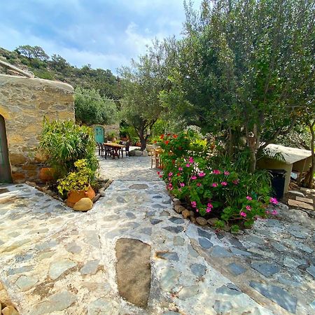 Makrýgialos Natura Cottages מראה חיצוני תמונה