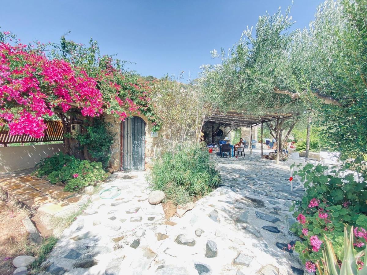 Makrýgialos Natura Cottages מראה חיצוני תמונה